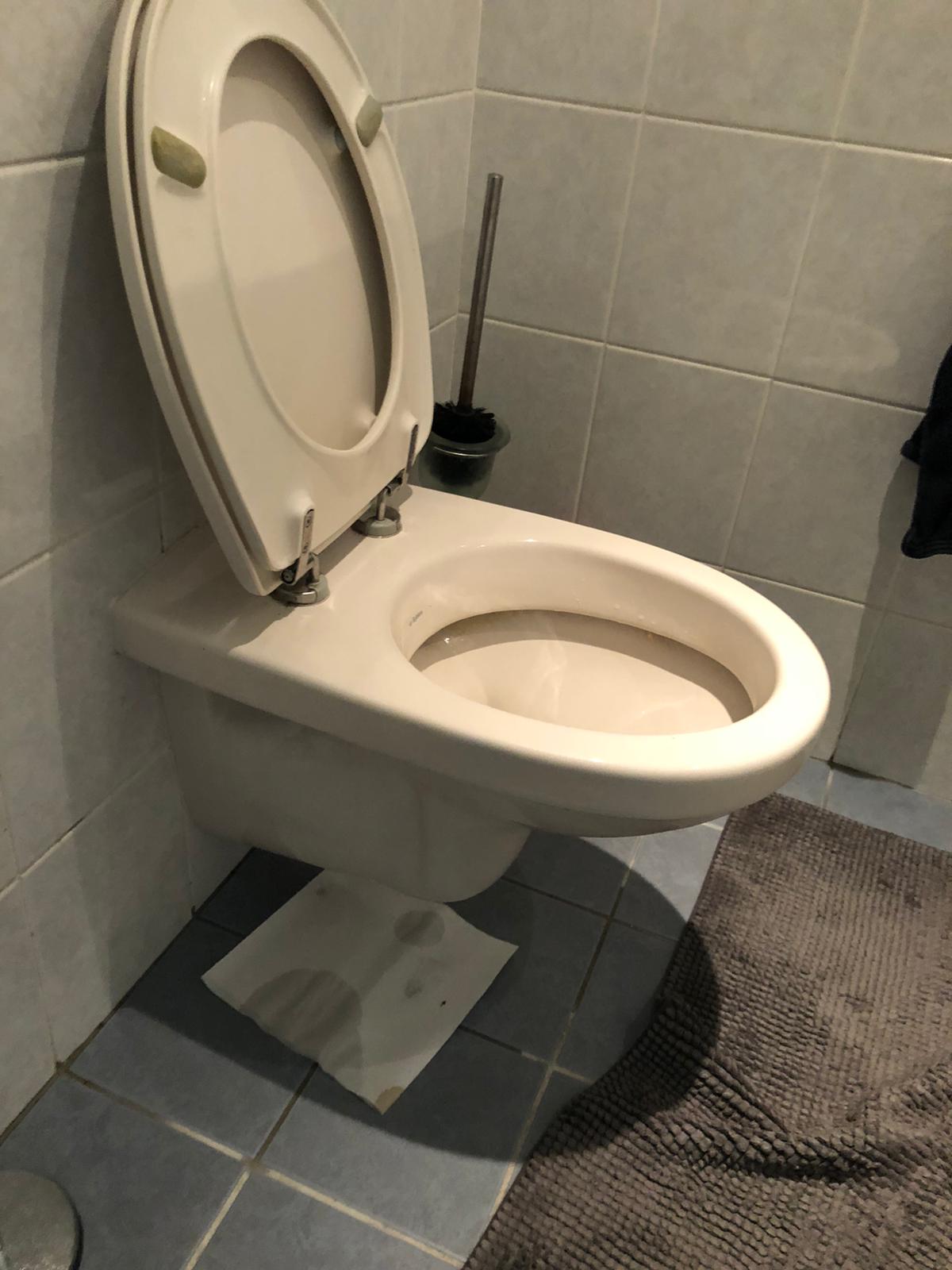 hangtoilet Goes